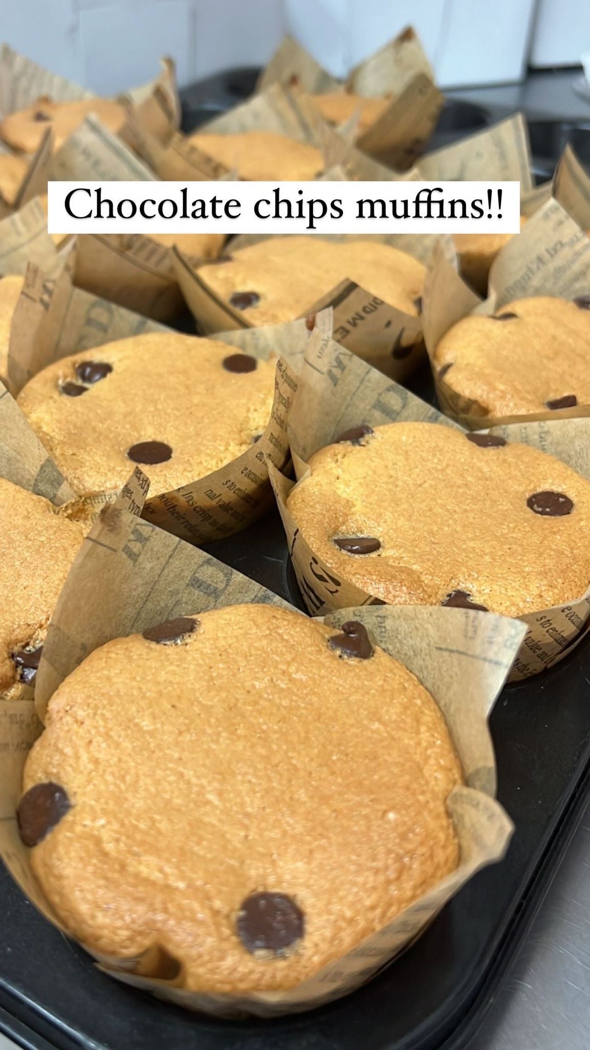Chocolate Chip Muffins GF 2 Pack!