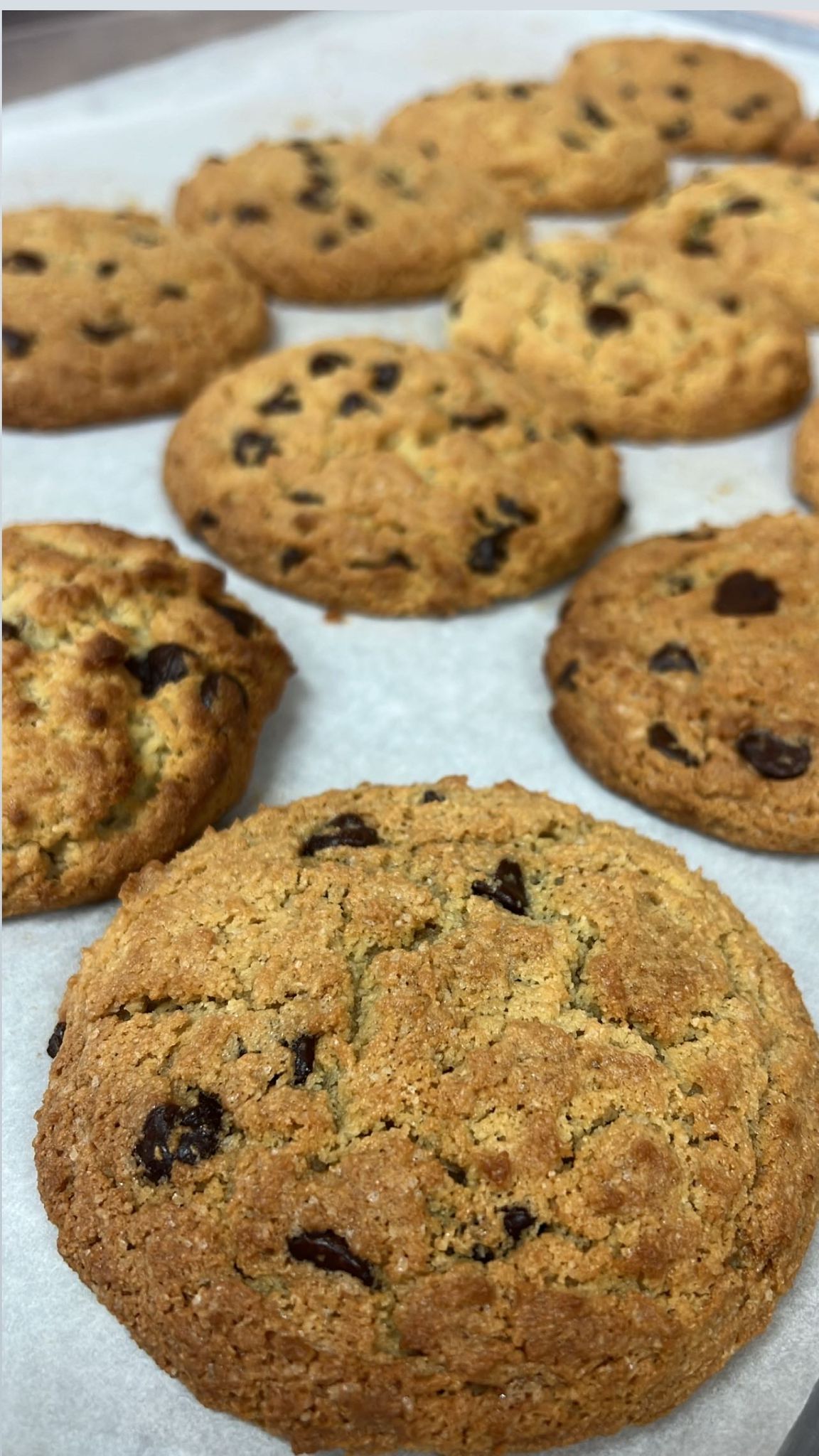 Giant Chocolate Chip Cookie GF 2 Pack!