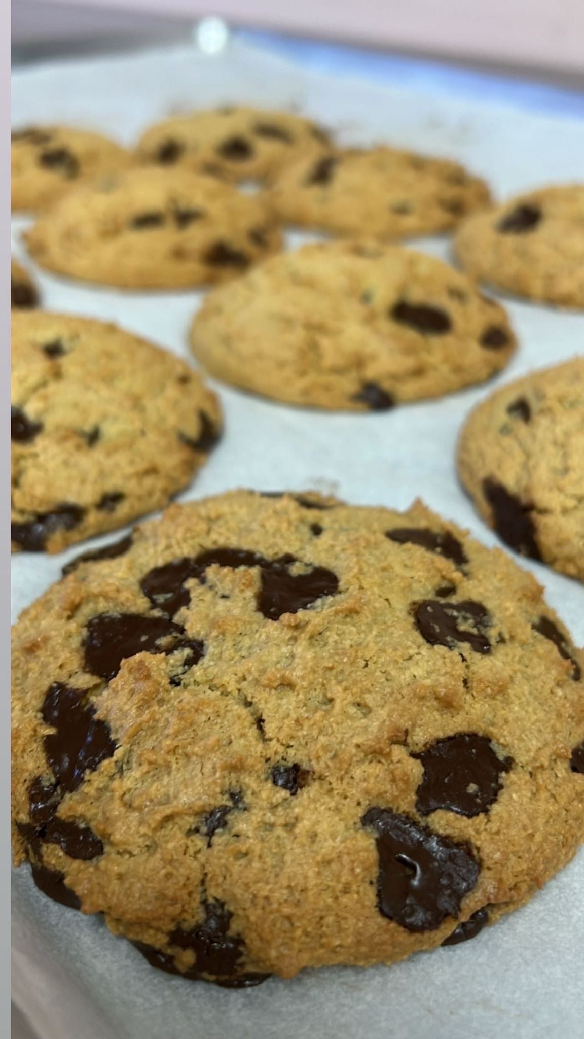 Chocolate chip cookie 2 Pack