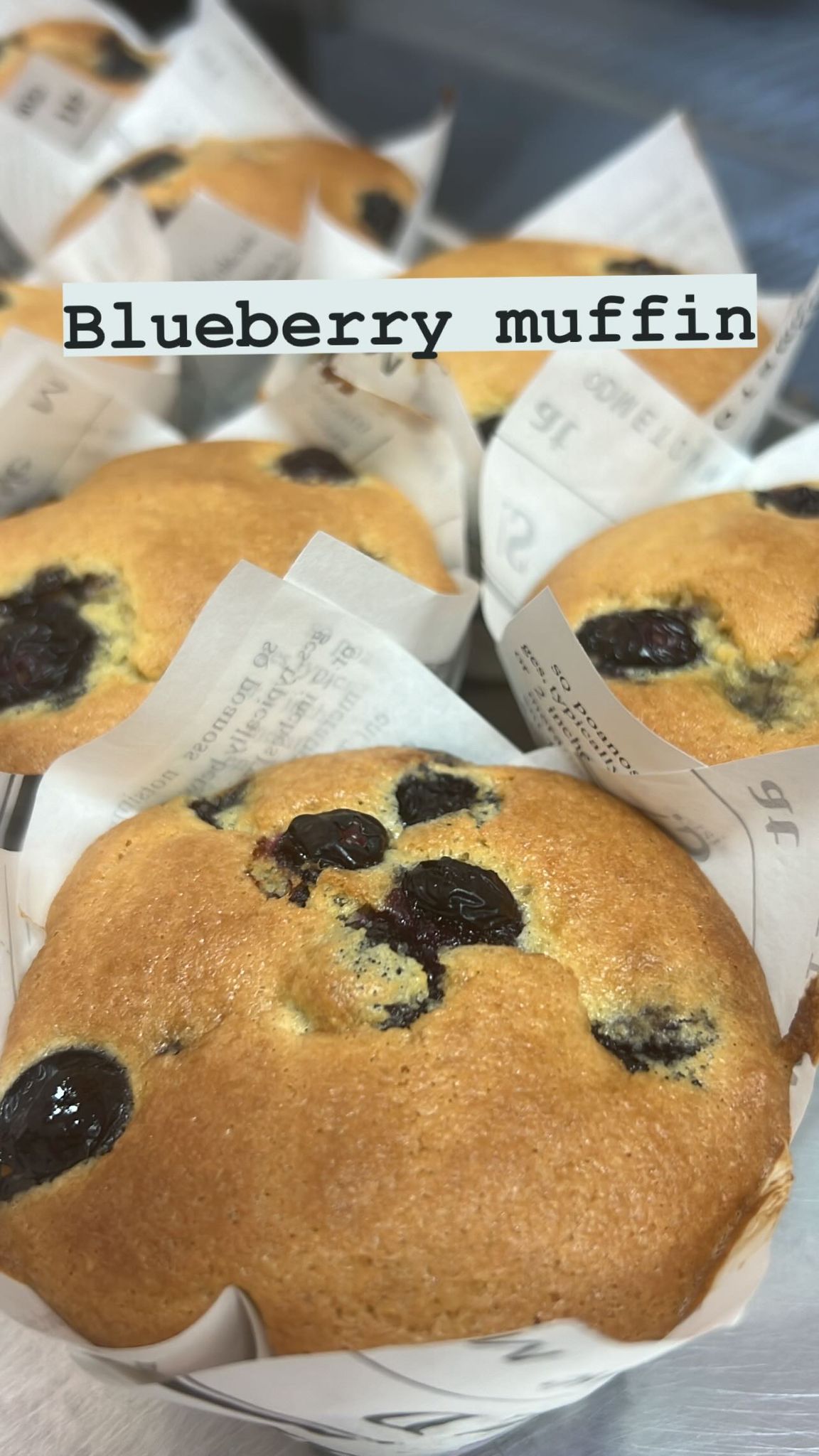 Blueberry Muffin GF 4 Pack!