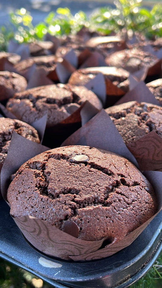 Double Chocolate Chip Muffin GF 4 Pack!