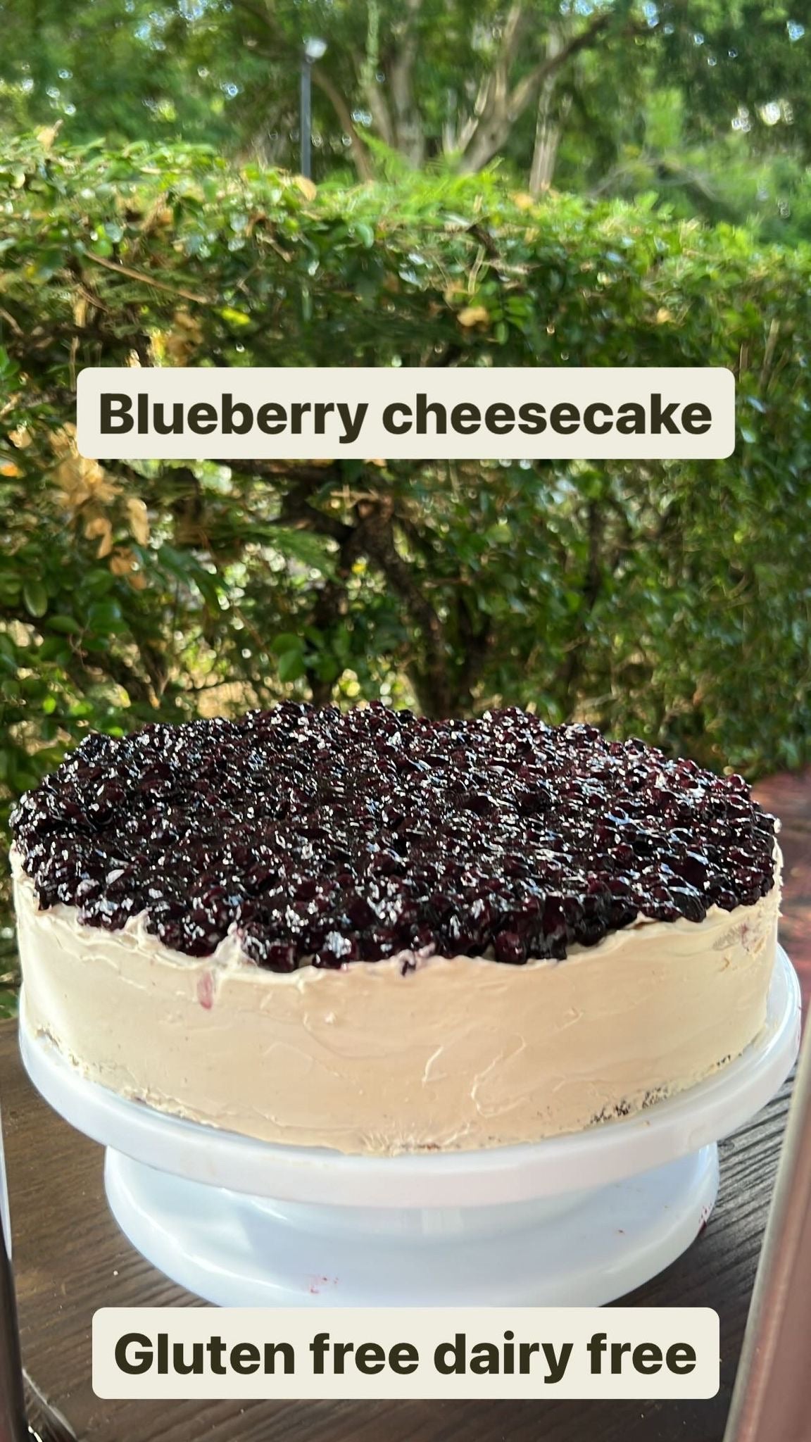 Vegan Blueberry Cheesecake GF