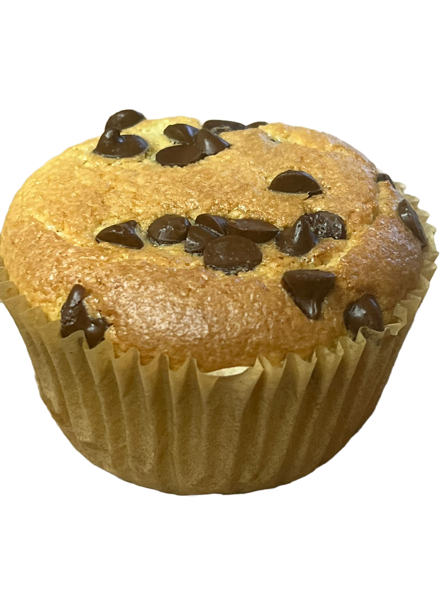 Chocolate Chip Cup Cakes GF